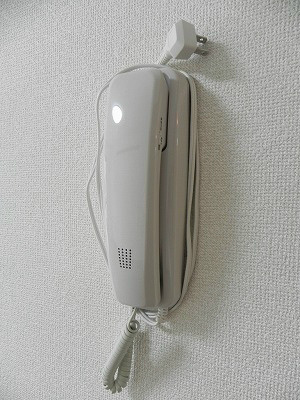 エルフィール セキュリティ