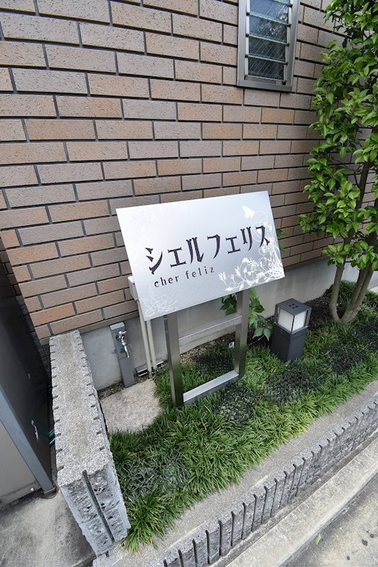 シェルフェリス その他
