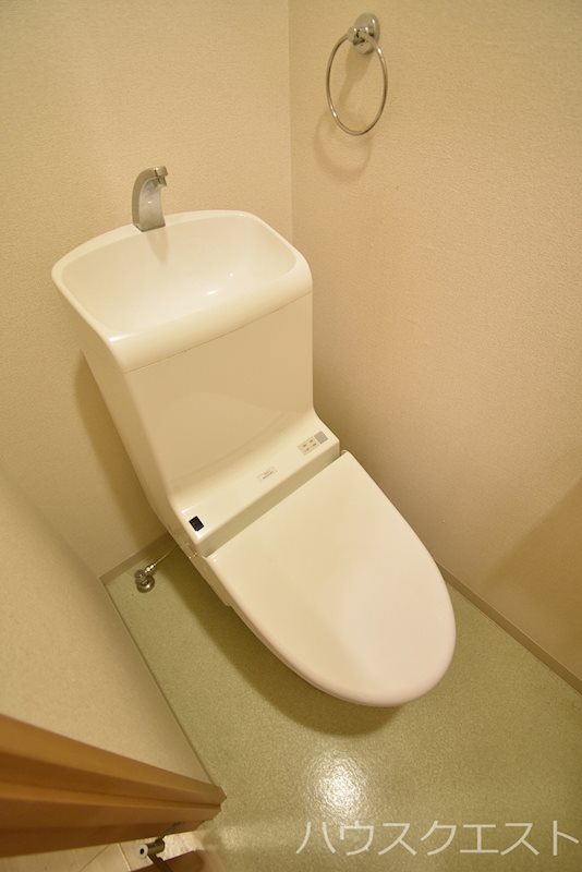 シェルフェリス その他