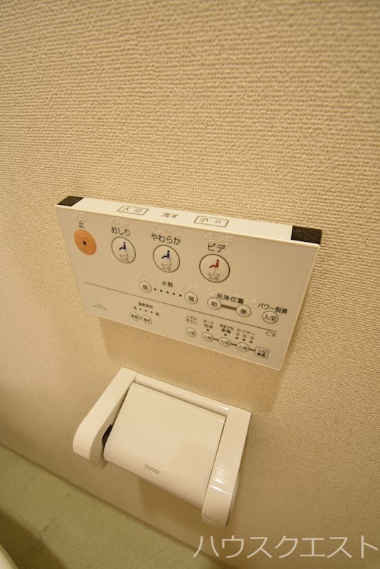 シェルフェリス その他