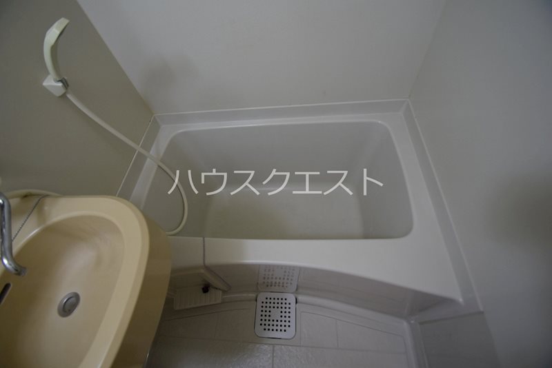 ADEAM OKAZAKI その他