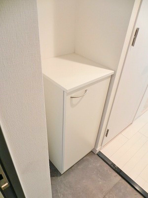 プレミアムステージ京大前 玄関