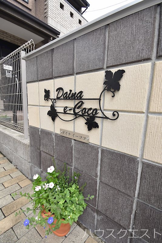 Daina e-Coco その他
