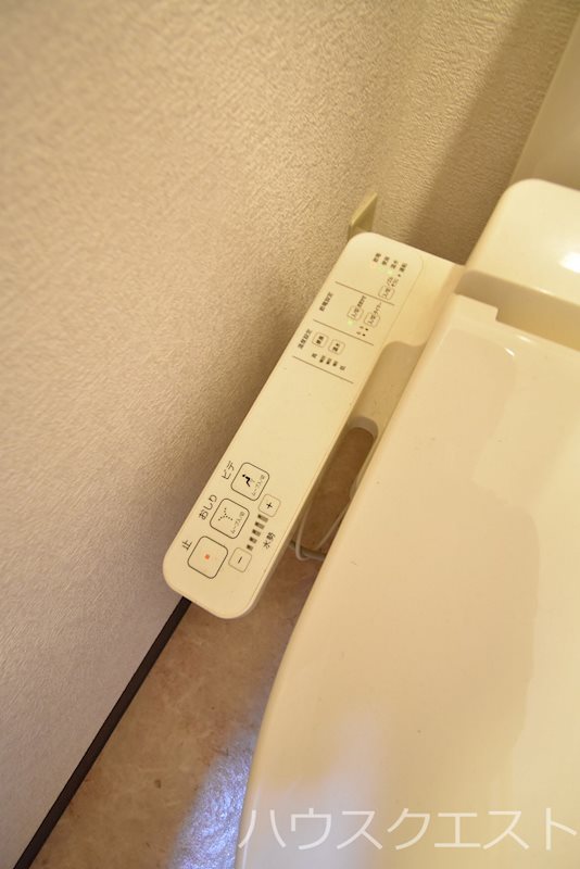 パインフレンズ その他