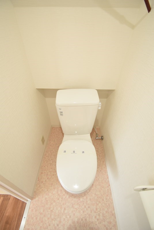 銀閣寺ハイム トイレ