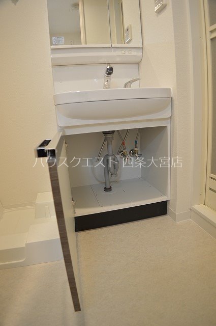 プレサンス京都洛南 洗面所