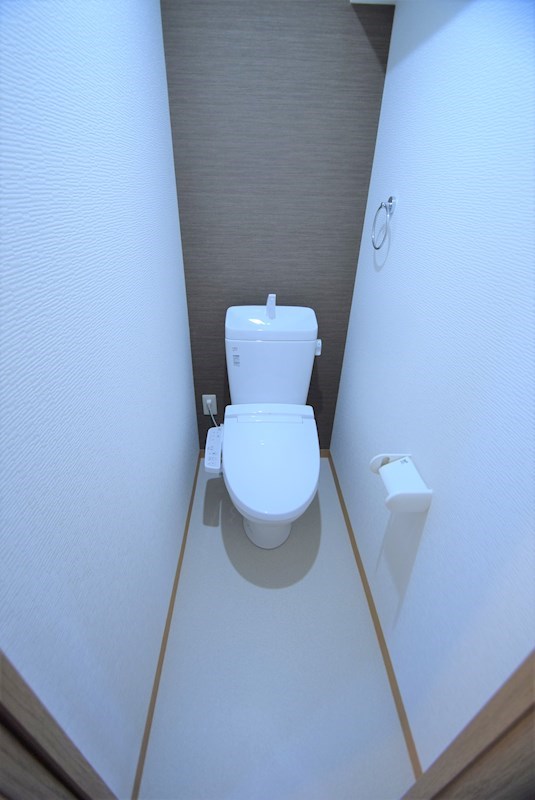 ライオンズマンション鴨川北 トイレ