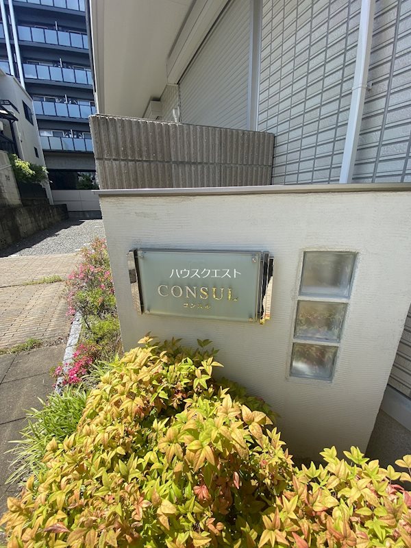 コンスル その他