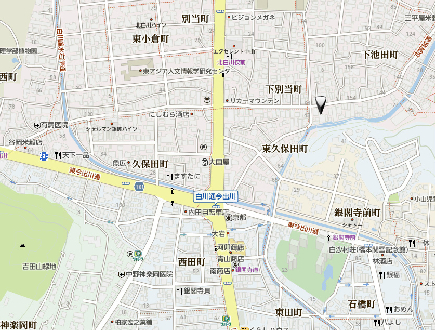 ウィルネス その他