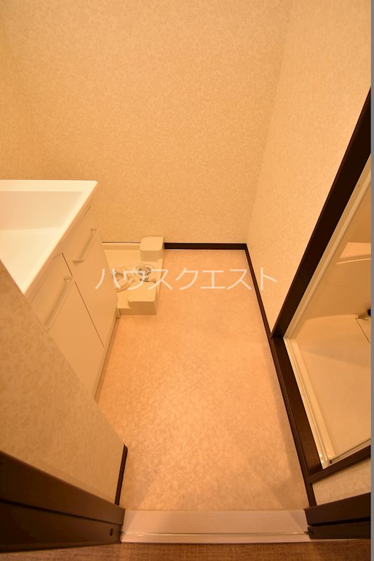 サクシード東山七条 洗面所