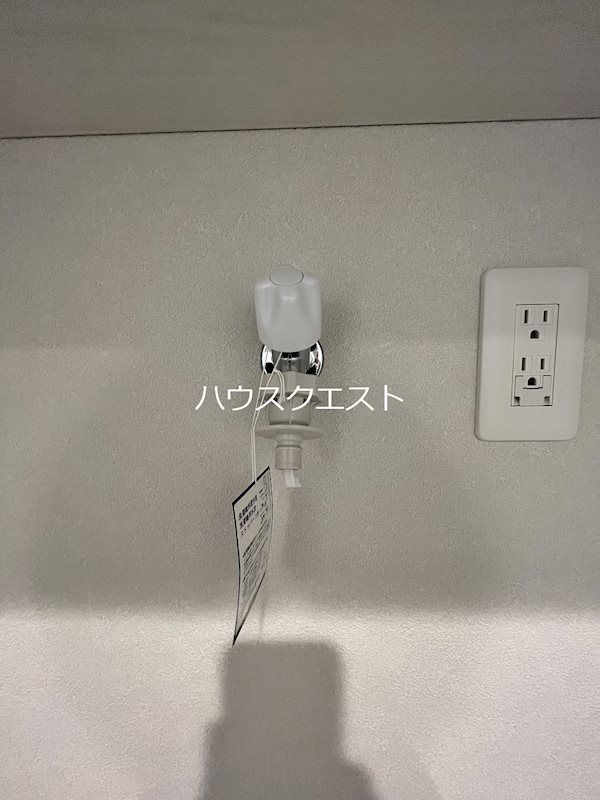 グーズベリー その他