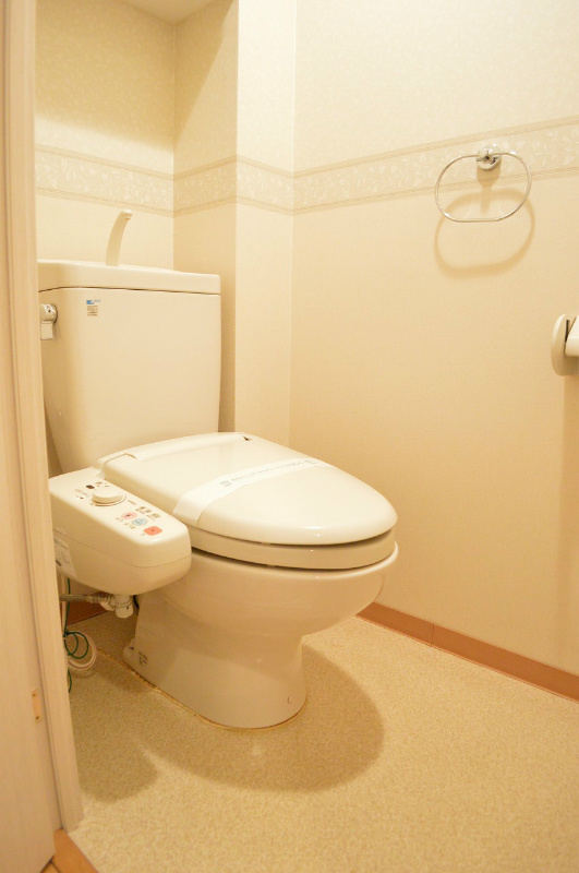 藤和シティホームズ河原町二条アクシス トイレ