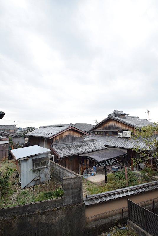 オーキッド その他