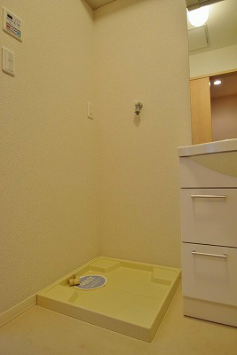フルーレ下鴨 洗面所