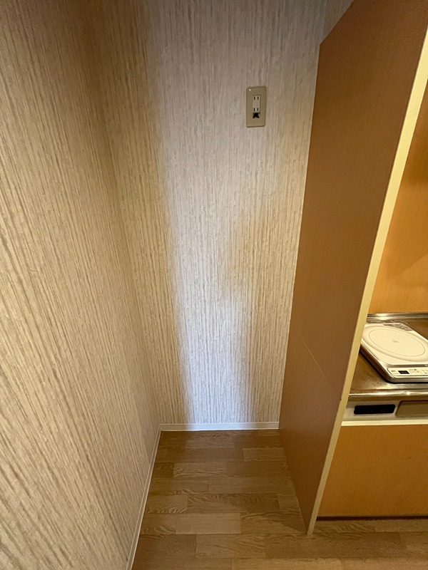 フォルム大将軍 その他