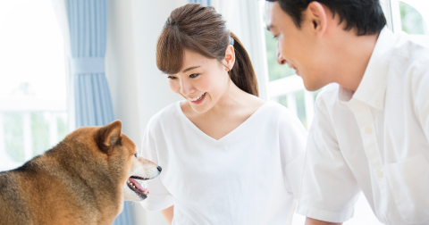 ペット可